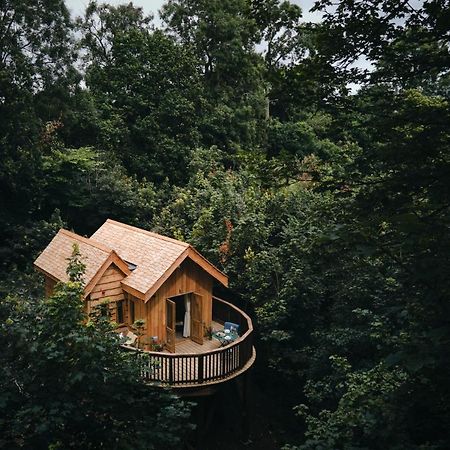 Wildhive Callow Hall แอชบอร์น ภายนอก รูปภาพ