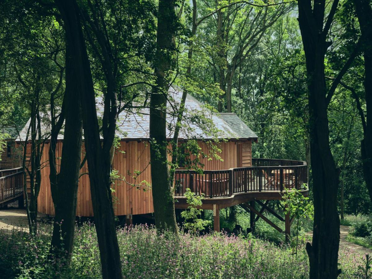 Wildhive Callow Hall แอชบอร์น ภายนอก รูปภาพ