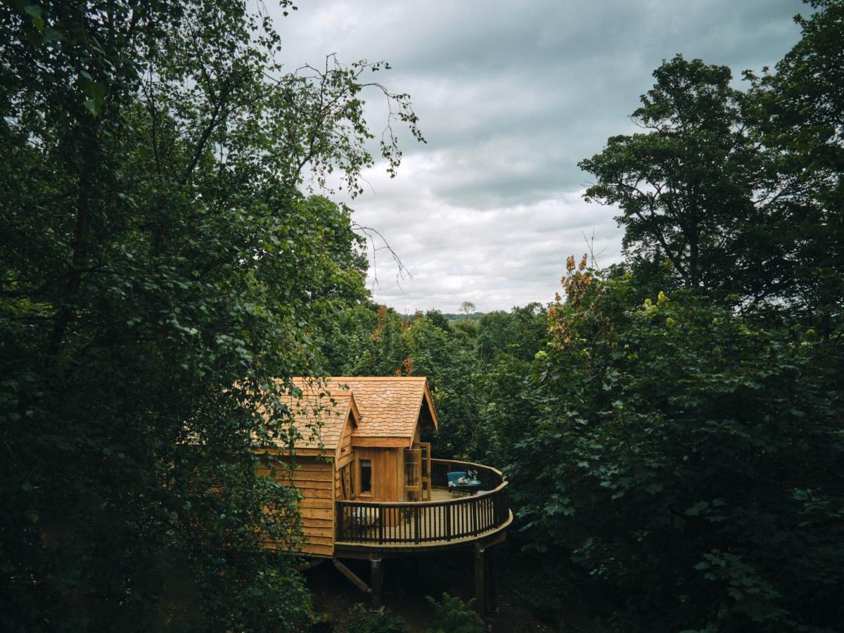 Wildhive Callow Hall แอชบอร์น ภายนอก รูปภาพ