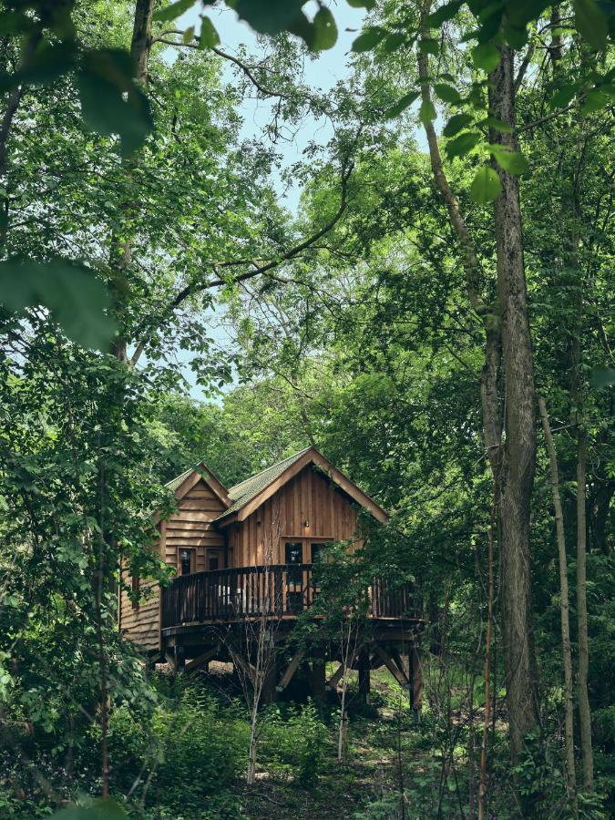 Wildhive Callow Hall แอชบอร์น ภายนอก รูปภาพ
